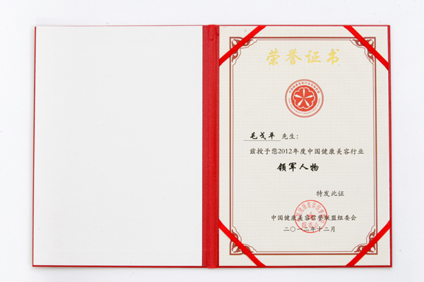 中国健康美容信誉联盟会授予毛戈平老师奖项